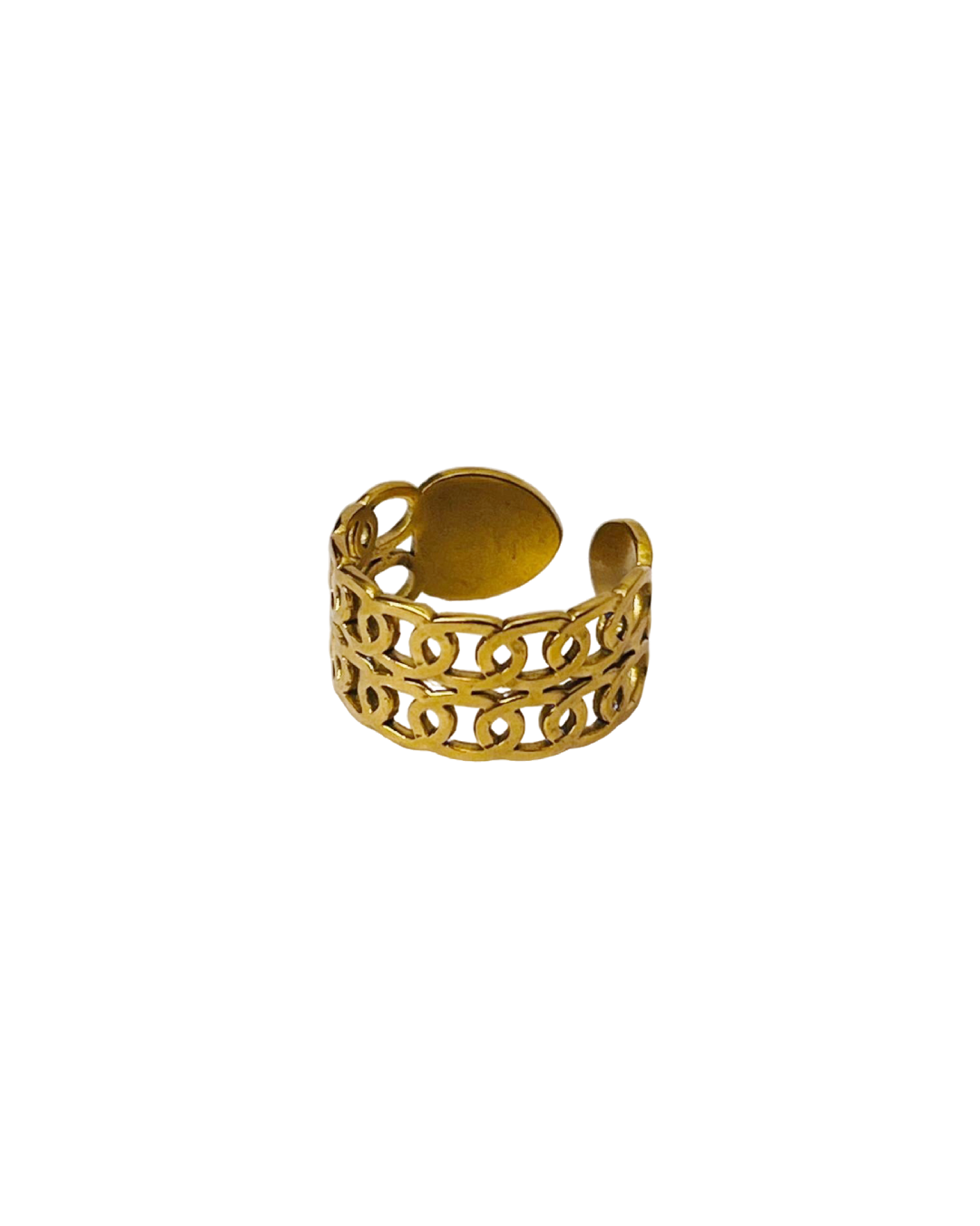 Double Chain Ring